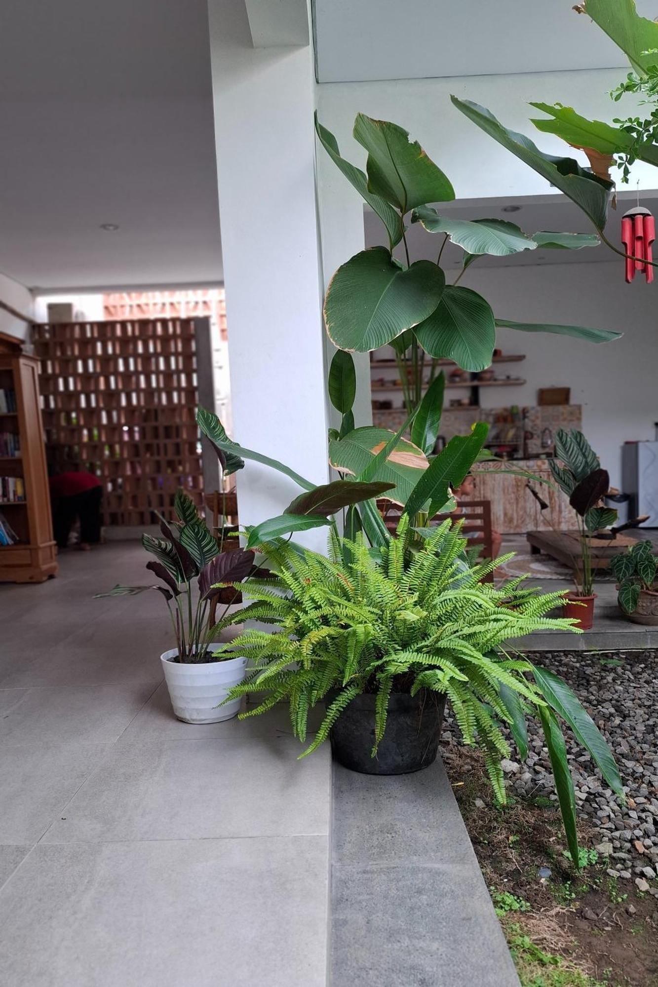 Bring In House Yogyakarta Apartment Екстериор снимка